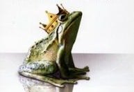 Le Prince Charmant