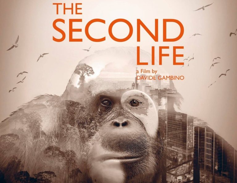 The Second Life